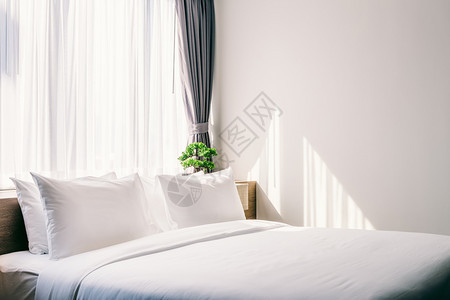 休息睡觉住宅在床上装饰紧贴白色枕头的里面有灯光和绿树在旅馆卧室内的花盆里有绿树图片