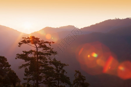 明亮的阳光照耀着山峰和松林太阳光耀照闪日落自然射线图片