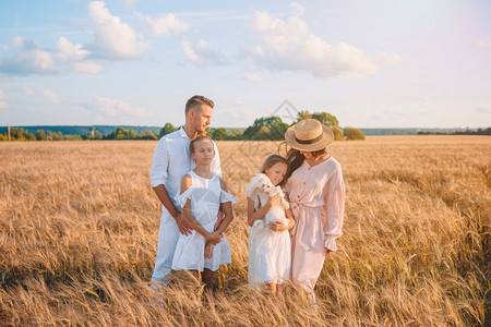 在小麦田中快乐的家庭父母和孩子在夏季草地上快乐家庭在小麦田里玩耍步行成人白种图片