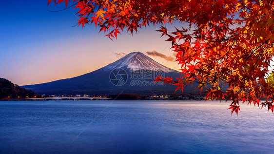 雪东京春天日落时的藤山和川口子湖秋天是日本矢马纳奇的藤山季节图片