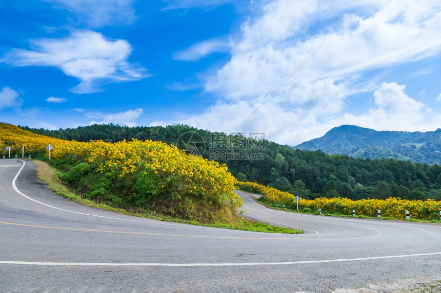 路线天空山坡上的弯曲道路在山和森林的公路边用鲜花开小路图片