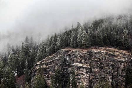自然风景优美FoggyHill山边有冰霜树和露岩荒野图片