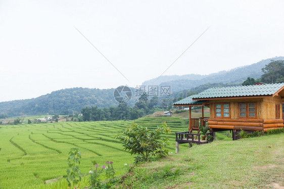 场地叶子土壤农耕区民的家园业地区民耕作家庭图片