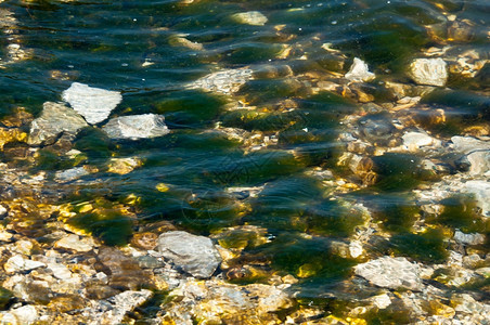 海藻冰川和草覆盖着岸附近的岩礁浪景图片