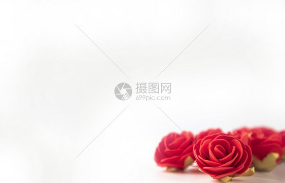 新鲜的红色植物一束天鹅绒红玫瑰隔离在白色背景上与玫瑰情人节卡片概念浪漫图片