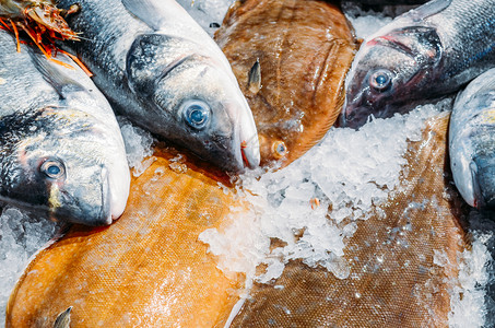 海鲜市场摊位冷冰床上各种生鲜鱼的高角度静物海鲜市场摊位冷冰床上各种生鲜鱼的高角度静物鲭鱼鲈比斯卡多图片
