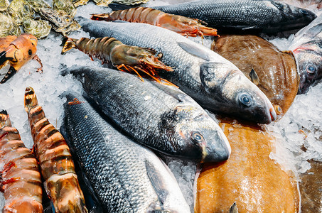 广告海鲜市场摊位冷冰床上各种生鲜鱼的高角度静物海鲜市场摊位冷冰床上各种生鲜鱼的高角度静物低音钓鱼图片
