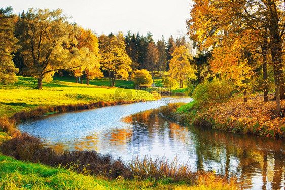 秋日河流和黄色的树叶美景图片