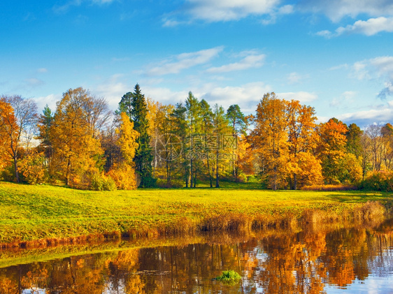秋日河流和黄色的树叶美景图片