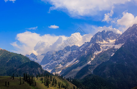 斯利那加查谟和克什米尔邦Sonamarg美丽的山景草爬坡道拉达克背景