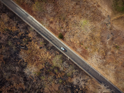 树木黄色的空中观视道路穿过干橙黄色森林一些部分被火摧毁a路经过一个干橙黄色森林抽烟图片