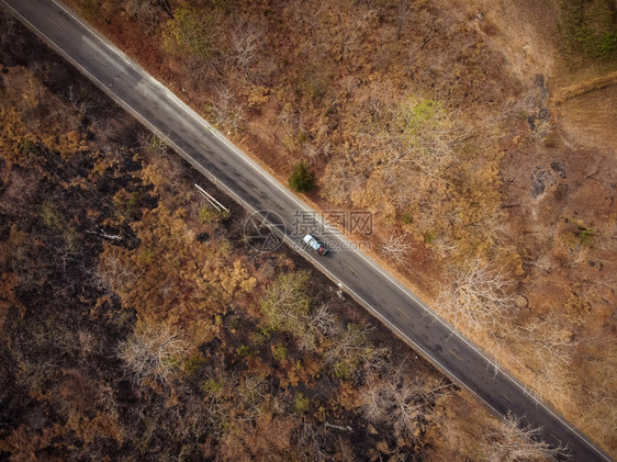 干燥空中观视道路穿过干橙黄色森林一些部分被火摧毁a路经过一个干橙黄色森林自然热图片