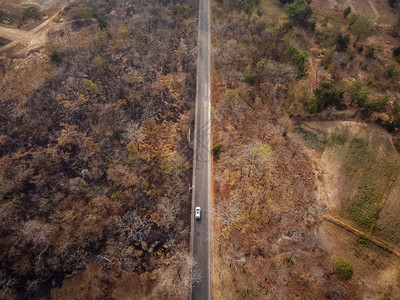 空中观视道路穿过干橙黄色森林一些部分被火摧毁a路经过一个干橙黄色森林荒野自然夜晚图片