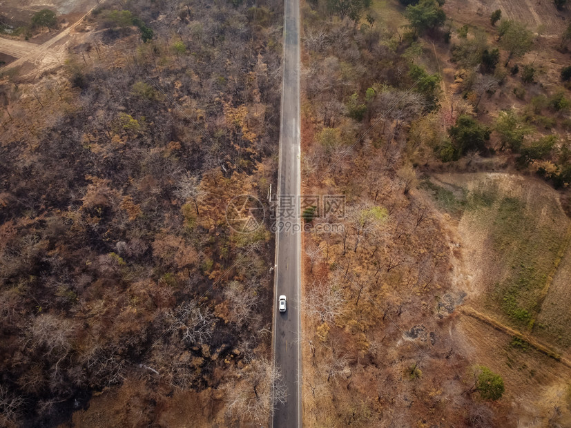 空中观视道路穿过干橙黄色森林一些部分被火摧毁a路经过一个干橙黄色森林荒野自然夜晚图片