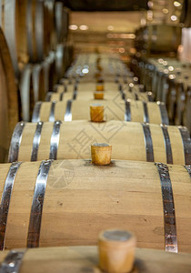 黑暗的排味道葡萄酒生产在厂发现木制桶他们准备倒酒或已经装满他们准备好倒酒或已经装满图片