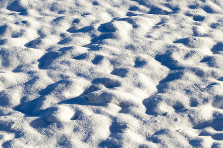下雪的堆环境可以看到下雪后的积层表面不规则现象照片在冬季雪中上与一小片田地接合冬季暴雪图片