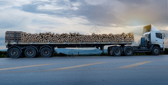 司机森林转运体抵和停在沥青路上的满载木材白色卡车位于山地和云雾背景的农村风中柏油路上木柴运输概念图片