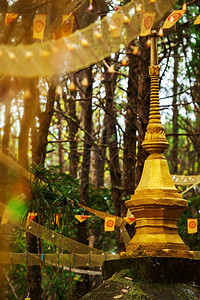 户外深森林中的金塔和达摩卡克拉泰佛教的象征灵佛教徒图片