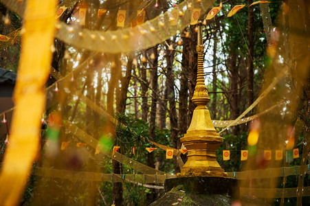 自由一种深森林中的金塔和达摩卡克拉泰佛教的象征朝圣图片