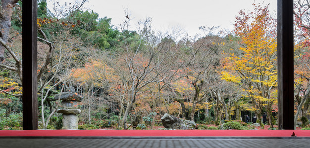 日本京都Enkoji寺庙美丽的日本花园秋天风景地标屋橙图片