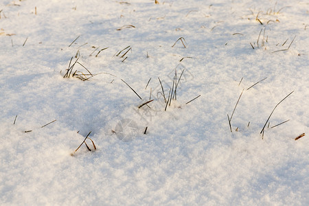 冬季雪在下后出现冬季的雪流在天飘动季纯度白色的哪一个图片