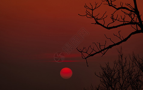 美丽无绿树红日落天空浪漫和平静的太阳景象以及日落时的红天空与秋季的美景模式秋季的春与宁静自然由阳光旅行图片