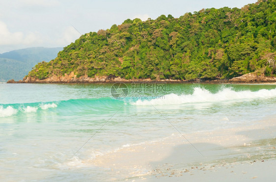 郁葱旅游在阳光明媚的夏季纯白色沙滩和松绿海浪缅甸南部Talinaryi岛热带森林一片干燥的宁静岛景色纯白沙滩和松黄海浪泰国图片