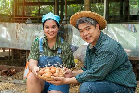 亚洲夫妇农民把新鲜鸡蛋放进篮子坐在鸡养场旁边的附近因为对农场无毒食品概念的产感到高兴所以微笑着坐靠近女图片