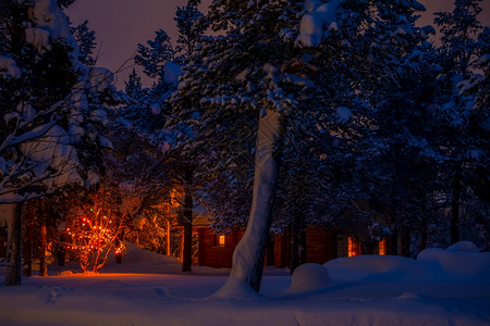 木制的北方田园诗般夜间冬季森林和圣诞园地的木屋夜雪林中大量积白和加兰在夜林里背景图片