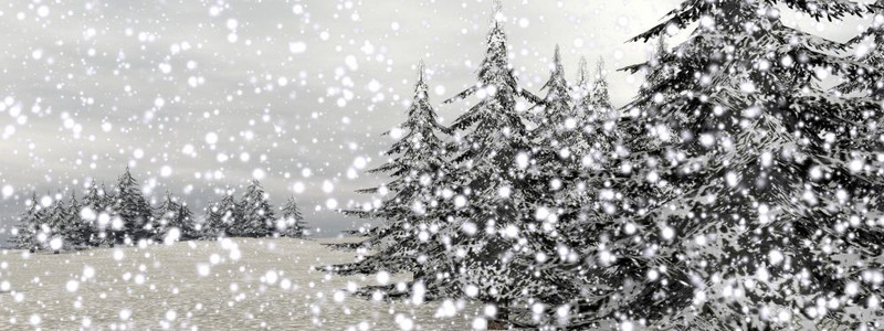 数字的冬季风景山上和fir树的雪覆盖着山地和寒冬树木3D形成天空农村图片