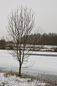 冰寒冷的天气下积雪覆盖着美丽的农村风景乡蓝色图片