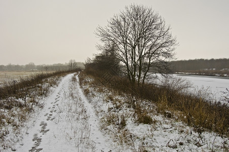 户外风景优美寒冷的天气下积雪覆盖着美丽的农村风景寒意图片