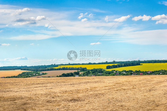 农业移动小麦田和蓝云天空多的绿色图片