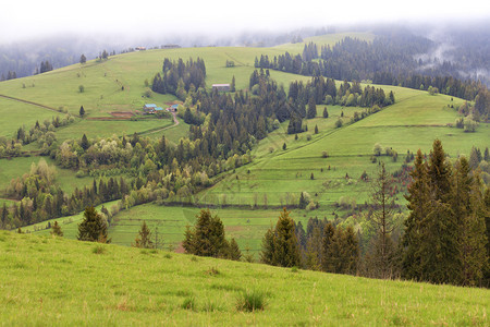 白雾从喀尔巴阡山脉的峰下降背景是喀尔巴阡山脉村庄和乡道路的晨山夏季景观清晨喀尔巴阡山脉的美丽风景和一条下坡的土路夏天一种旅行图片
