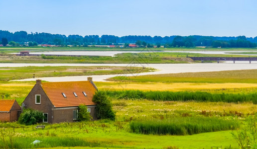 草地建筑学荷兰泽市Breskens湖典型的杜丘住房美丽的自然风景荷兰泽省份图片