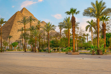 结石自然开罗埃及公园和金字塔的棕榈树和金字塔废墟图片