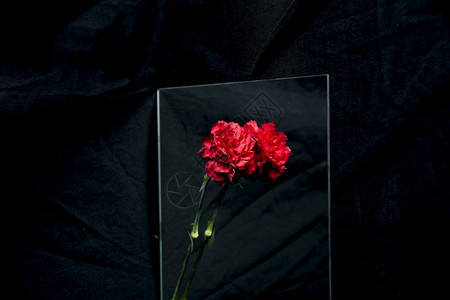 花的治疗反映黑色玻璃背景的红白花浪漫的图片