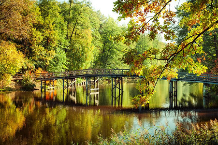 秋天户外公园的木桥图片