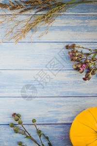 新鲜的质地秋季橙南瓜干鲜花和草的顶端景象盒式感恩背景蓝铁制木板桌带回秋季收成情调空间模板落下图片