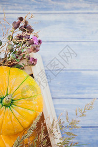 秋季橙南瓜干鲜花和草的顶端景象盒式感恩背景蓝铁制木板桌带回秋季收成情调空间模板绪季节过滤图片