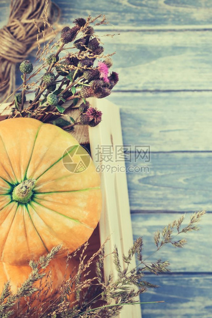 自然秋季橙南瓜干鲜花和草的顶端景象盒式感恩背景蓝铁制木板桌带回秋季收成情调空间模板十月木制的图片
