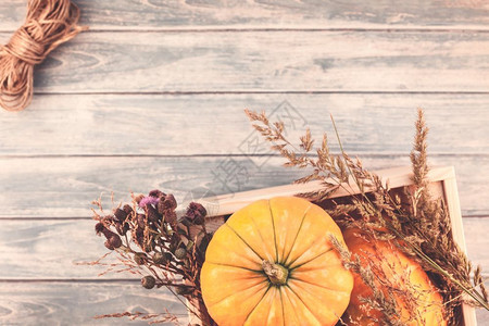 干燥框架圆形的秋季橙南瓜干鲜花和草的顶端景象盒式感恩背景蓝铁制木板桌带回秋季收成情调空间模板图片