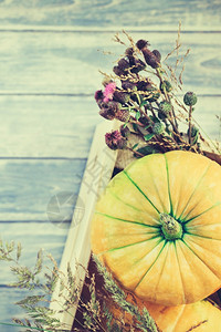 木制的秋季橙南瓜干鲜花和草的顶端景象盒式感恩背景蓝铁制木板桌带回秋季收成情调空间模板平坦的食物图片