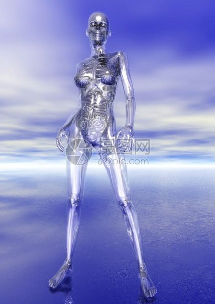 腿人类解剖数字可视化内脏粗鲁的图片