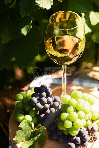 阳光红酒杯里的白葡萄和古典园背景上的一帮新鲜葡萄桌子图片