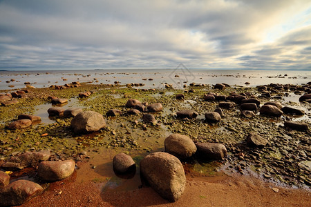 海滨在阴云的天空下有大石头水平的生态海滩图片