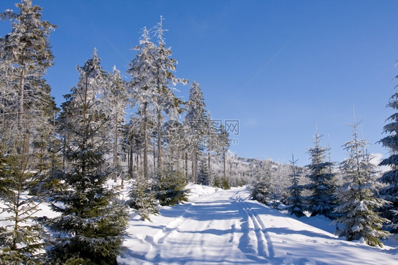 冬季雪景风光图片