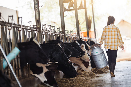 女农民在场里装着一箱牛奶这些品都存放在他的农场上女士行业年轻的图片