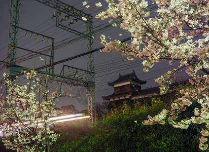 2017年4月日通过Koriyama城堡的火车长期在通过Koriyama城堡的夜间火车上盛着樱花晚墙壁追踪图片