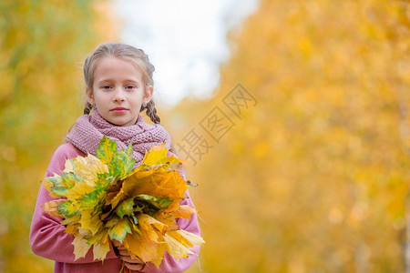 公园里小女孩拿着秋叶花束图片